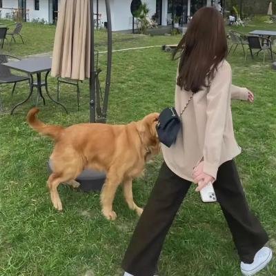 拳脚之路