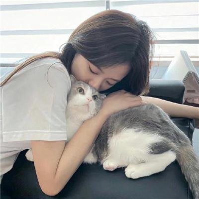 巴斯特·基顿归来